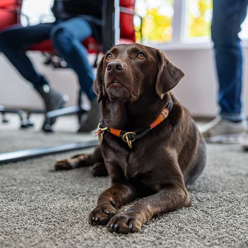 Diese Werte leben wir bei der KLIMABERATUNG - Zuverlässigkeit